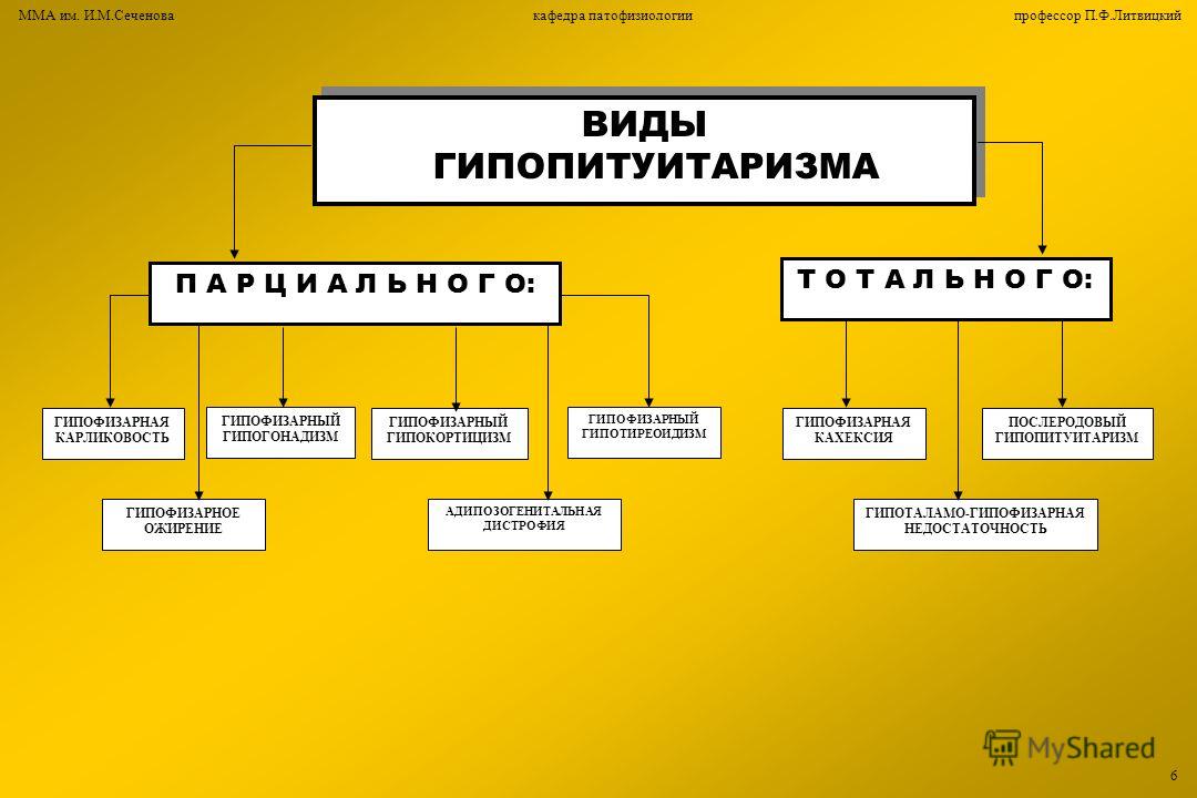 Ь ИМ ь им: