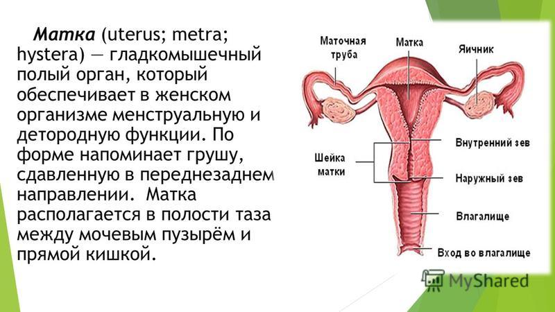 Реферат: Рак шейки и тела матки