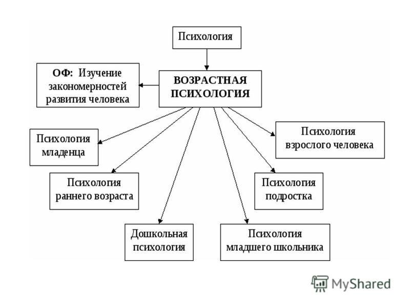 Возрастная психология презентация