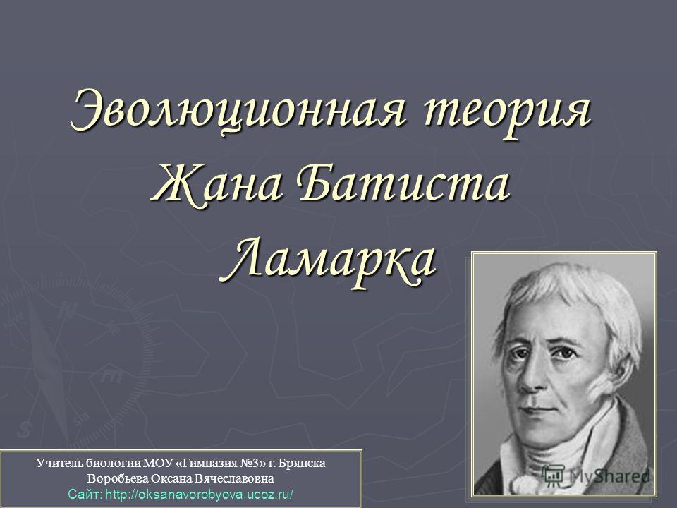 математика 3 класс решебник шклярова