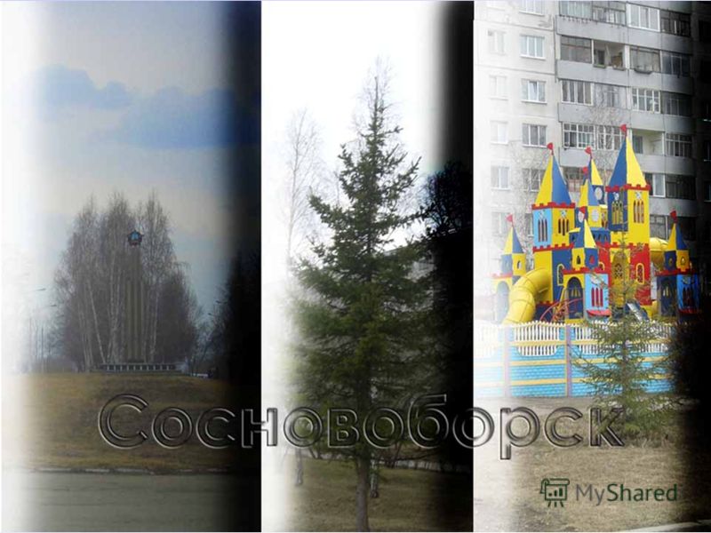 Взрослая стоматологическая поликлиника московского района