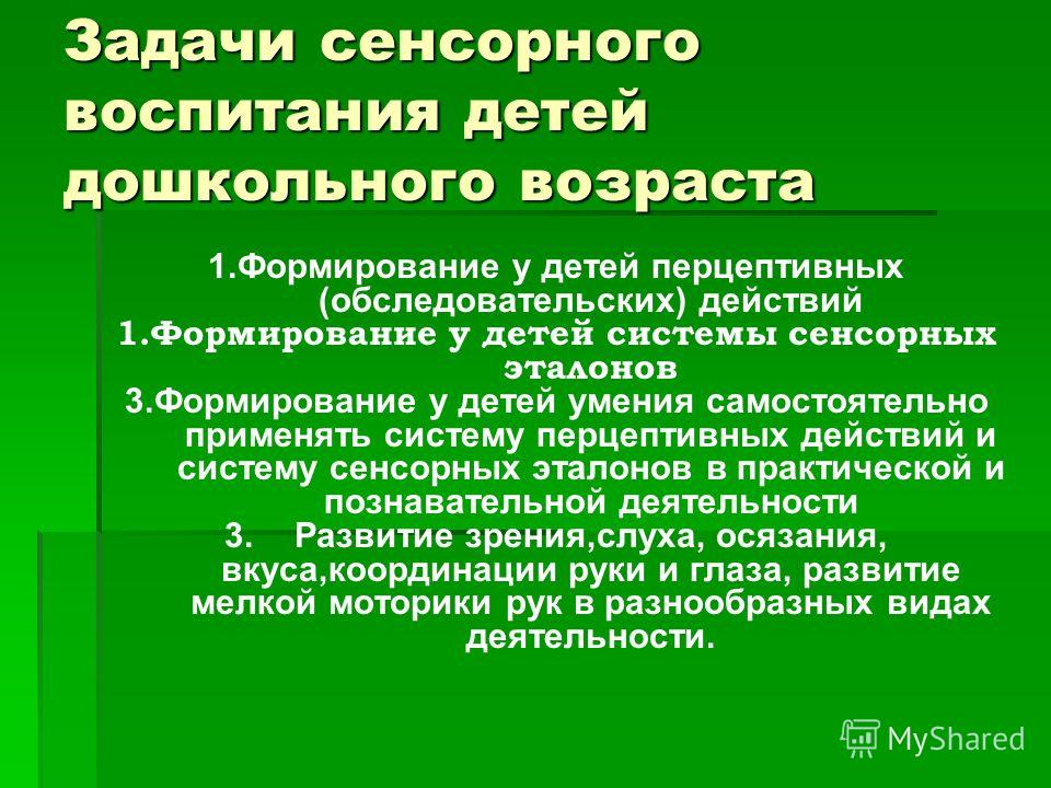 Презентация сенсорное воспитание малышей