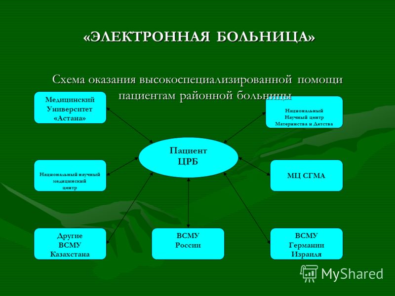 Расписание врачей 29 поликлиники