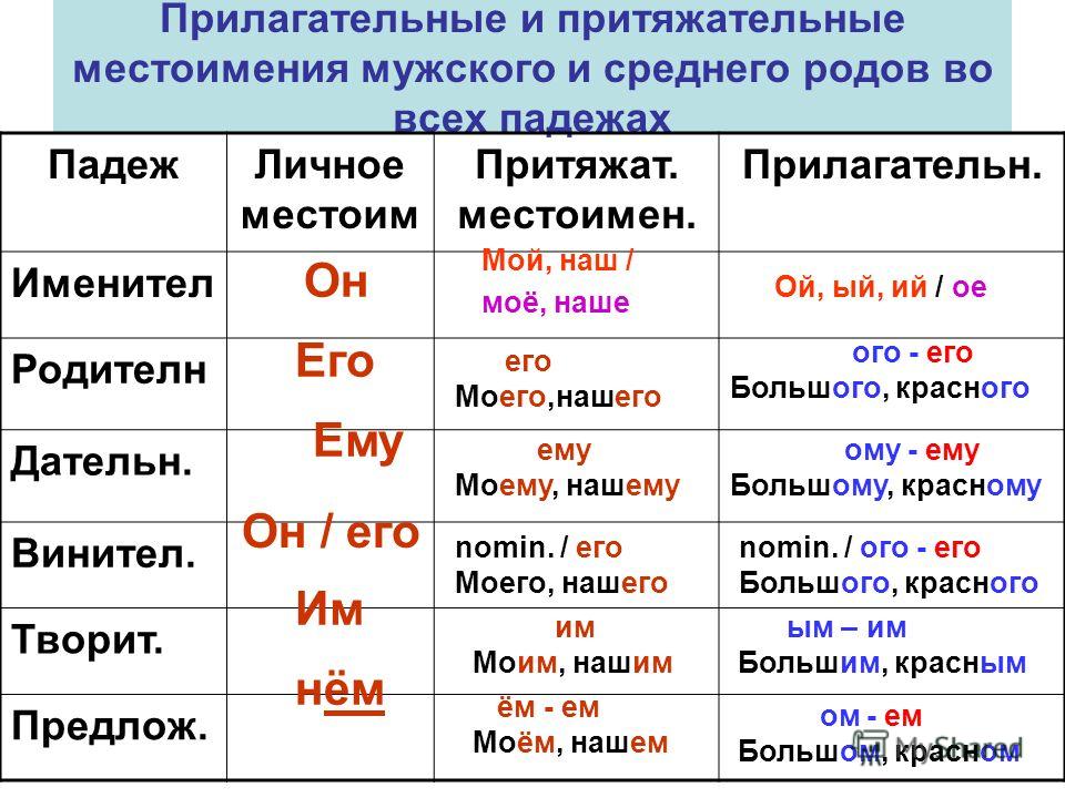 Программа 2 4 кл все узнаю все смогу