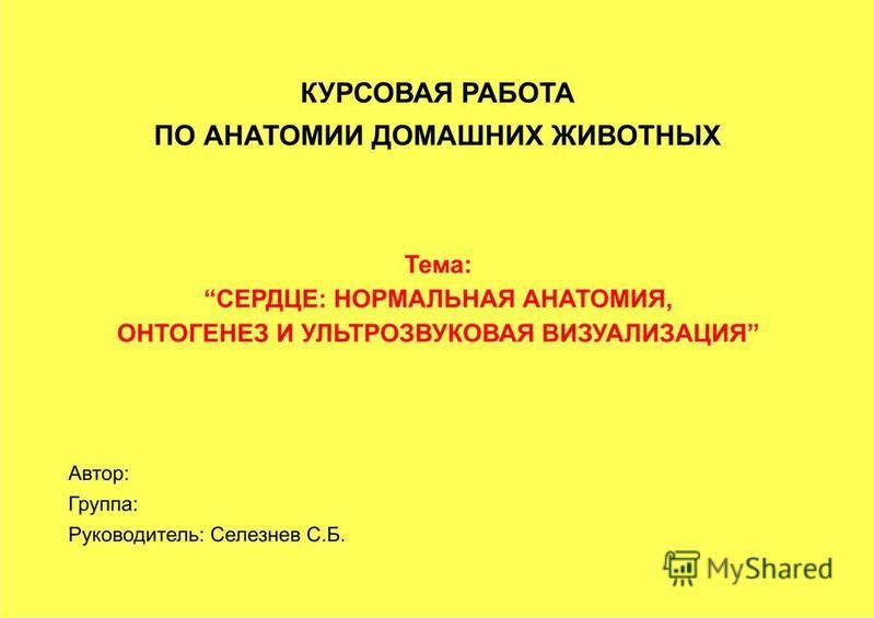 Темы для проекта анатомия Темы для проекта по анатомии