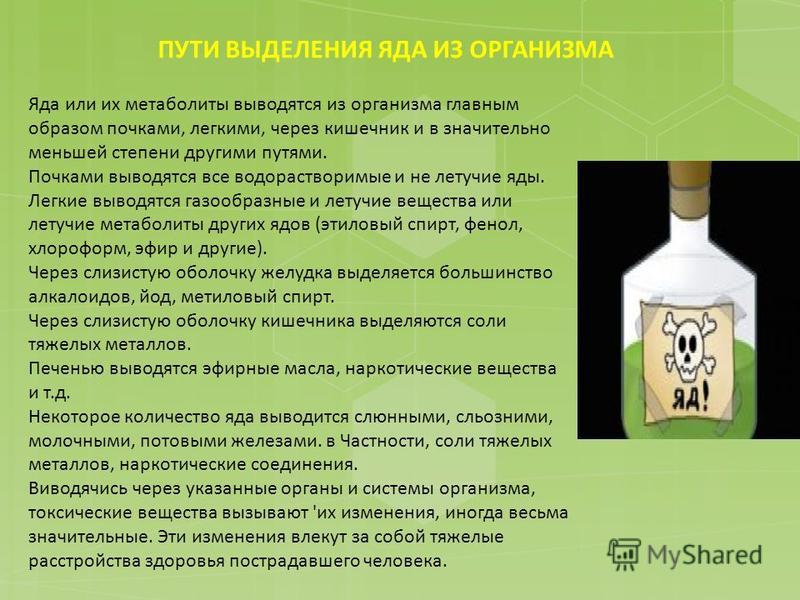Как быстро снять интоксикацию организма после алкоголя