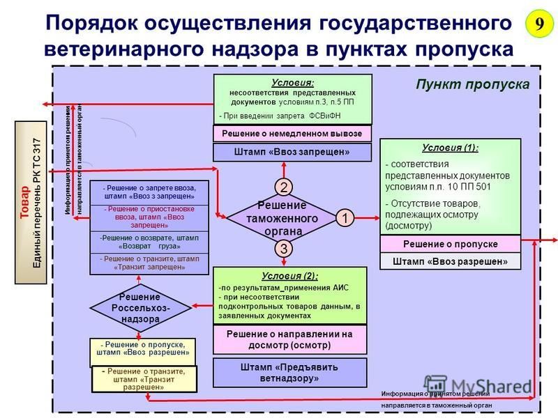 Ветеринарный контроль схема