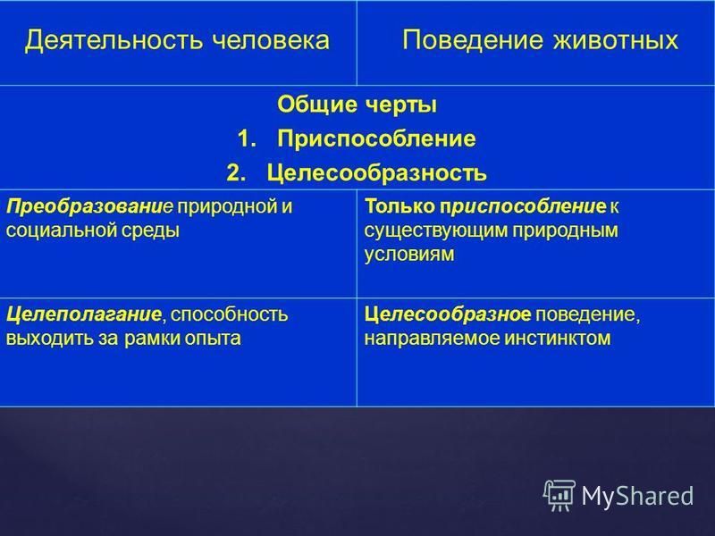 Кадровая созидательная творческая трудовая инстинктивная - Telegraph