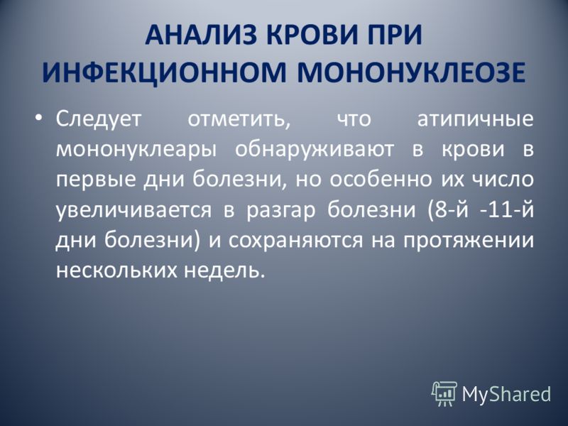 Кто из известных людей болеет за локомотив