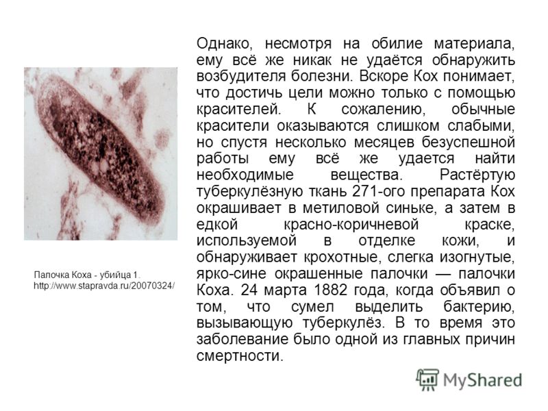 Воздушная йога - Sofit ( фитнес клуб ) Более 25 лучших идей на тему «Плетение кос» на Pinterest Коса