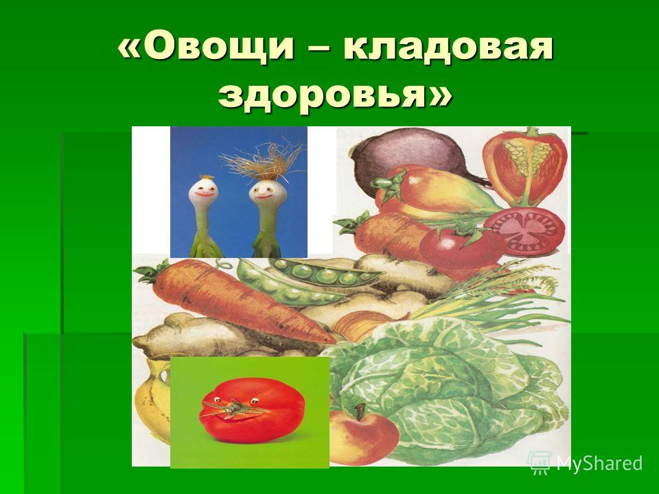 как питаться чтоб быстро похудеть как питаться чтоб быстро похудеть