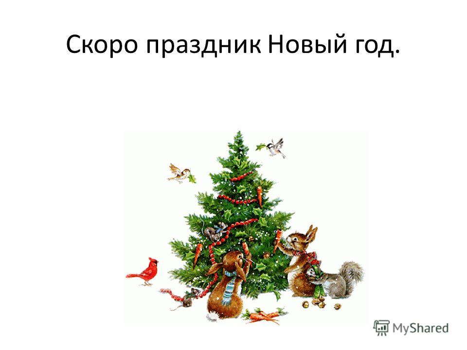 В библиотеке прошел праздник день библиотекаря