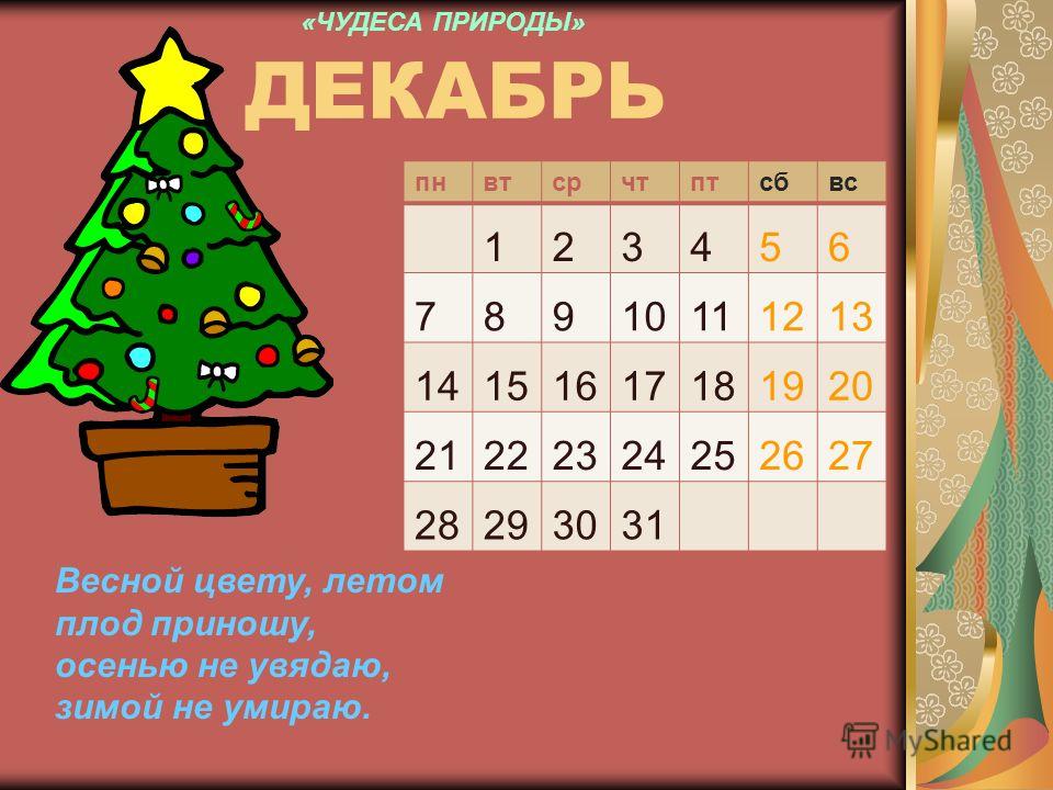 Погода нежинка район габита мусрепова
