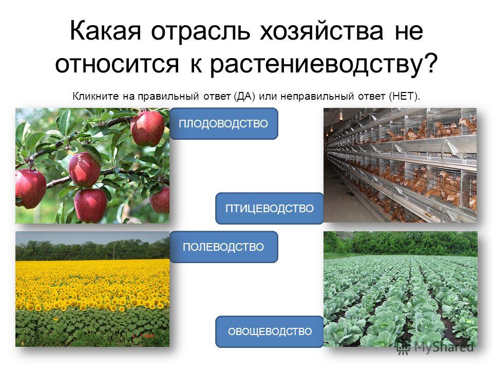 Музыка 5 8 классы программа