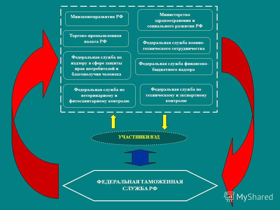 Служба надзора в сфере защиты прав потребителей и благополучия Калькулятор пособия по уходу за ребенком до полутора лет