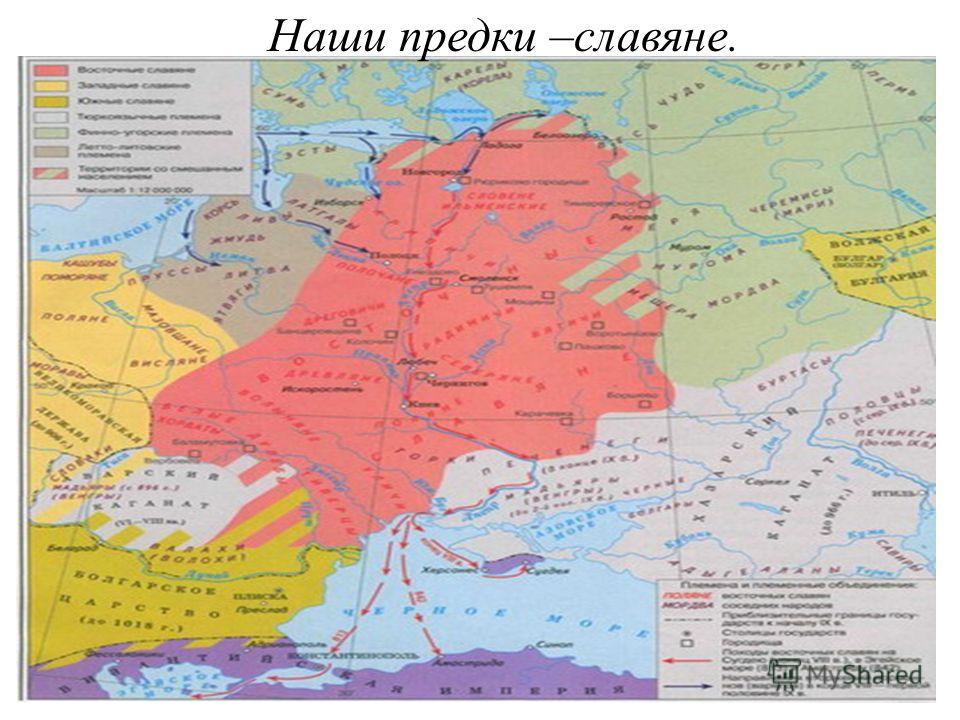 Как правильно приготовить виноград к посадке