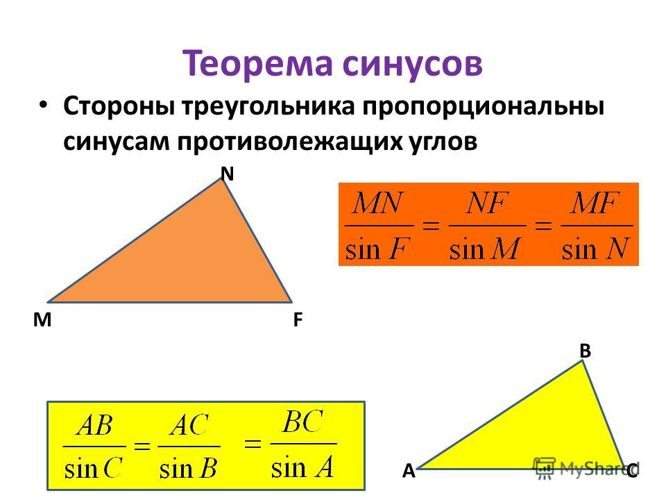 biodiversity under