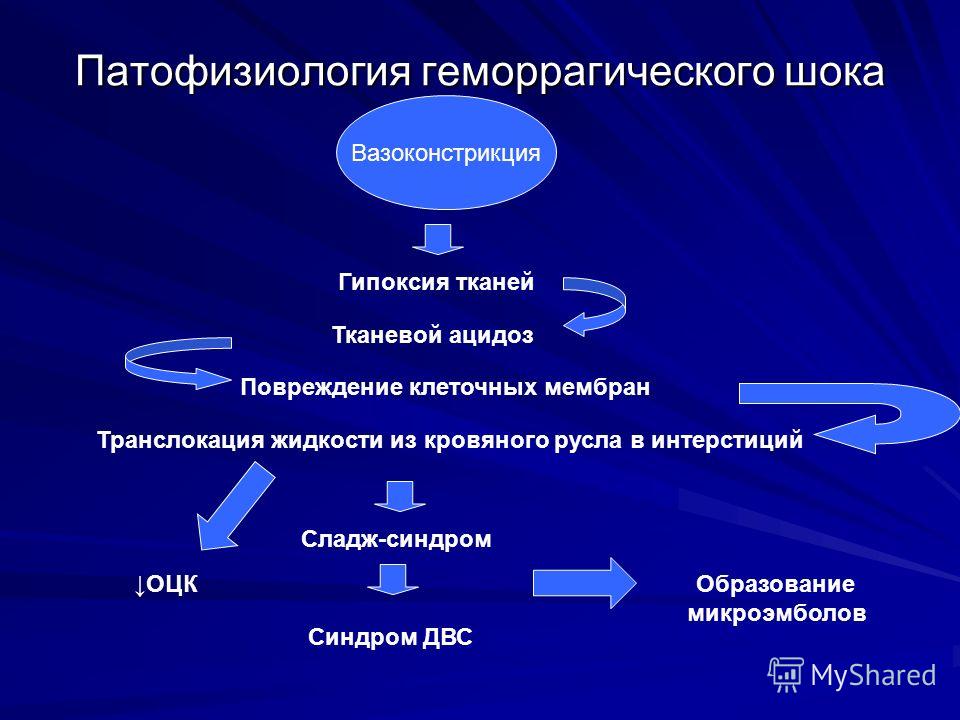 Презентация На Тему Гипоксия Презентация На Тему Гипоксия