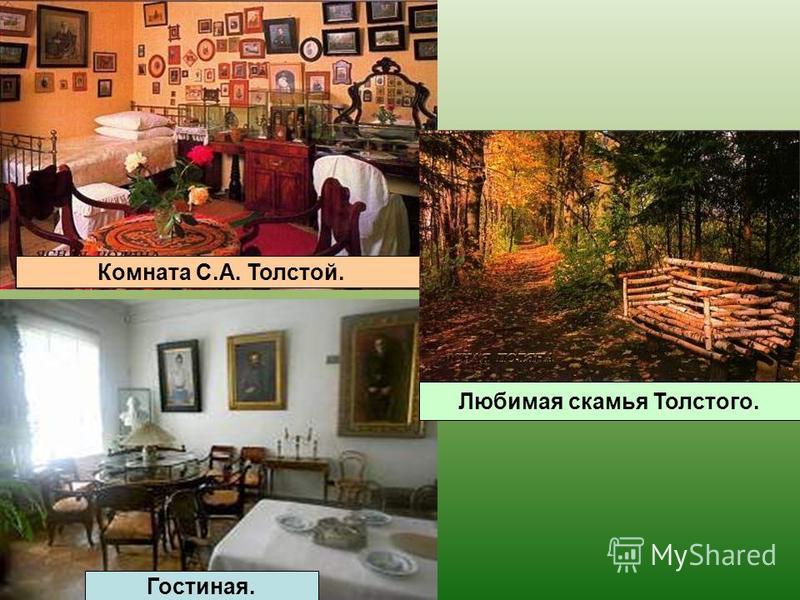 Комната С.А. Толстой. Гостиная. Любимая скамья Толстого.