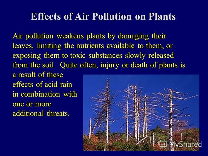 Презентация на тему &quot;Air Pollution I. Potential Test