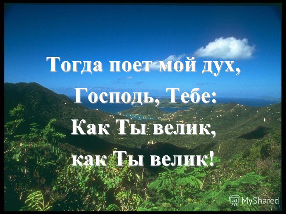 Смотреть фильм василиса 2014 с ходченковой