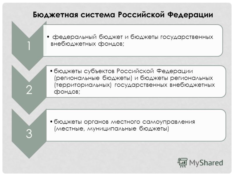 Понятие самостоятельного бюджет Понятие самостоятельного бюджет