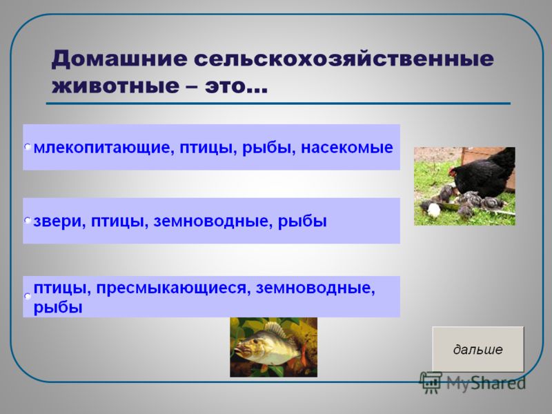 Химия кузнецова задачник 8 класс