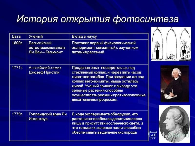 Учёные открывшие фотосинтез Учёные открывшие фотосинтез