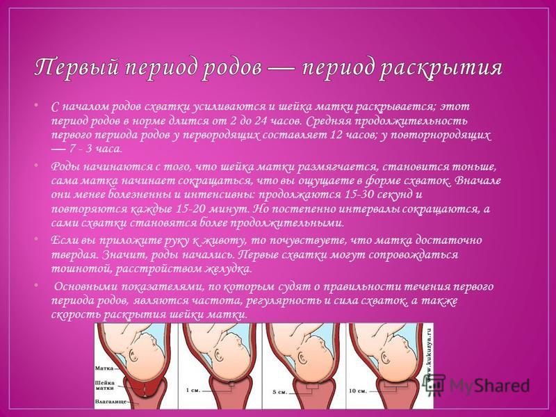 Когда девушка может забеременеть период цикла, вероятность Кашель у ребенка уже 3 недели - бэби. ру