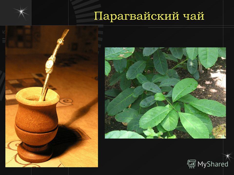 Рабочая тетрадь технология 1 класс
