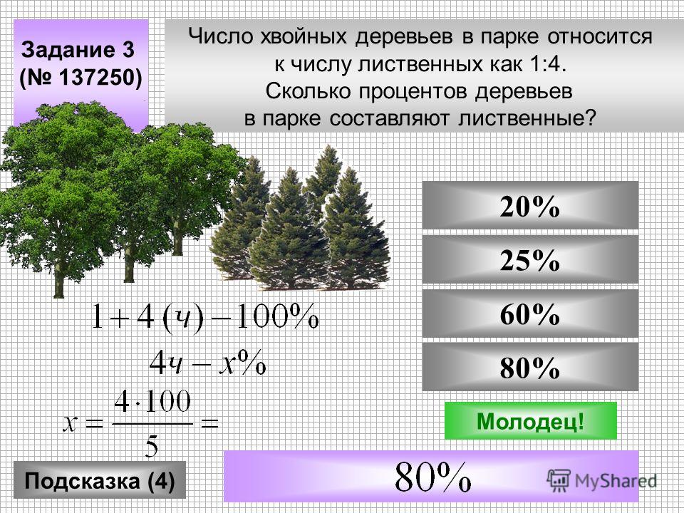 Число хвойных деревьев в парке относится к числу лиственных как 1:4. Сколько процентов деревьев в парке составляют лиственные? Задание 3 ( 137250) Подсказка (4) 60% 25% 80% 20% Не верно!Молодец!