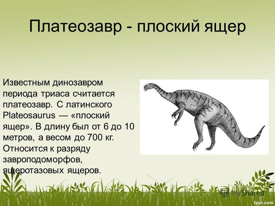 Сочинение Про Динозавров Сочинение Про Динозавров