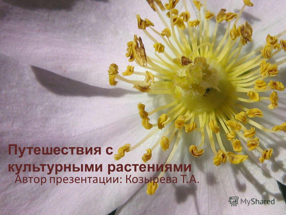 Путешествия с культурными растениями Автор презентации: Козырева Т.А.