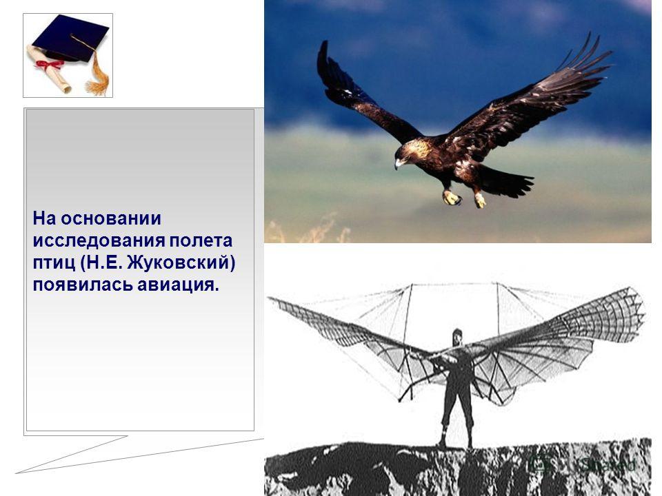 На основании исследования полета птиц (Н.Е. Жуковский) появилась авиация.