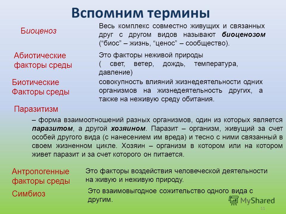Выкройка из флиса снеговика олафа Выкройка из флиса снеговика олафа