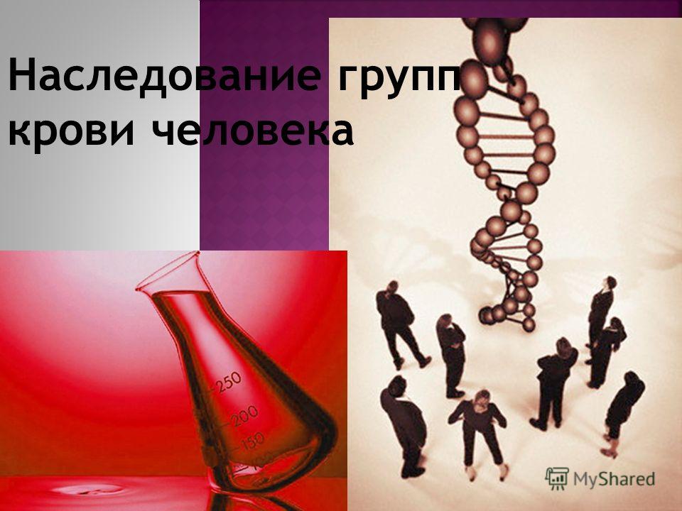 Наследование групп крови человека