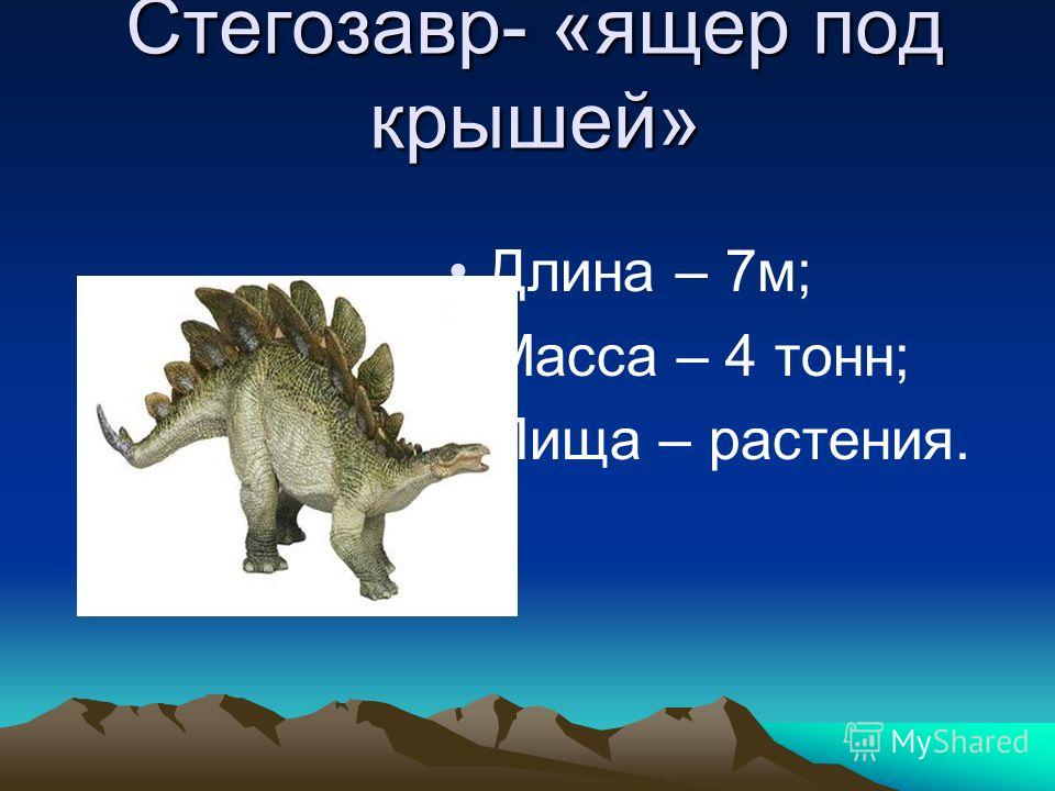 Стегозавр- «ящер под крышей» Длина – 7м; Масса – 4 тонн; Пища – растения.