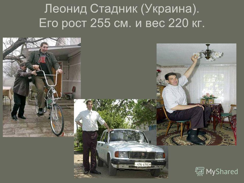 Леонид Стадник (Украина). Его рост 255 см. и вес 220 кг.