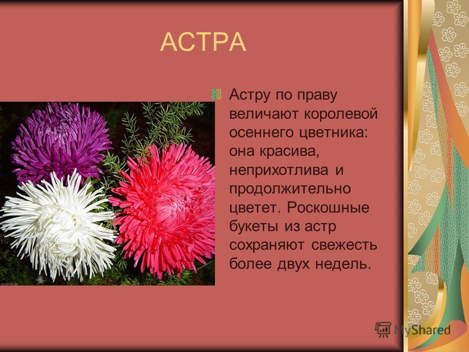 Новости производителя наборов для рукоделия РИОЛИС Классические японские хокку