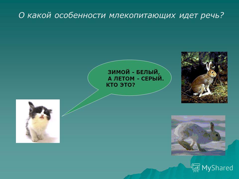 Если тип кожи летом Если тип кожи летом