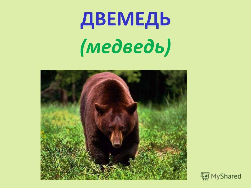 кроссворд здоровое питание кроссворд здоровое питание