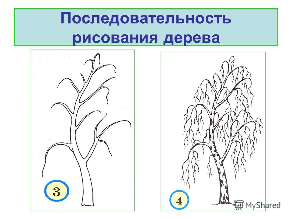Рисунок осенних деревьев поэтапно Рисунок осенних деревьев поэтапно