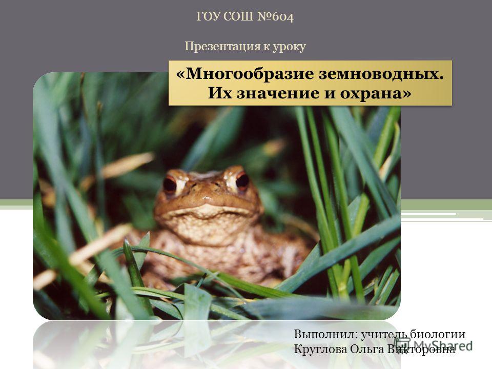 Реферат по биологии на тему земноводные 2783