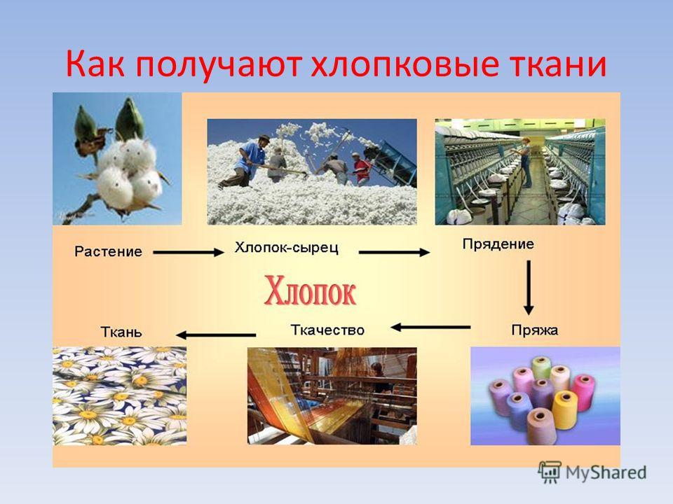 швейное дело учебник 5 класс скачать