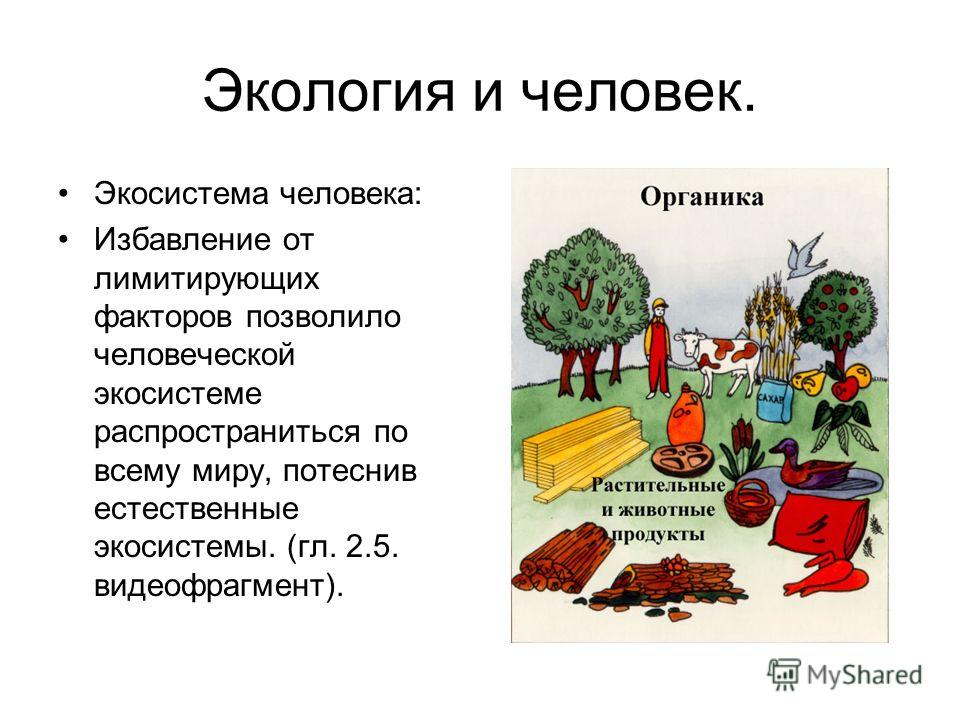 Сценарий экологической конференции для школьников Сценарий экологической конференции для школьников