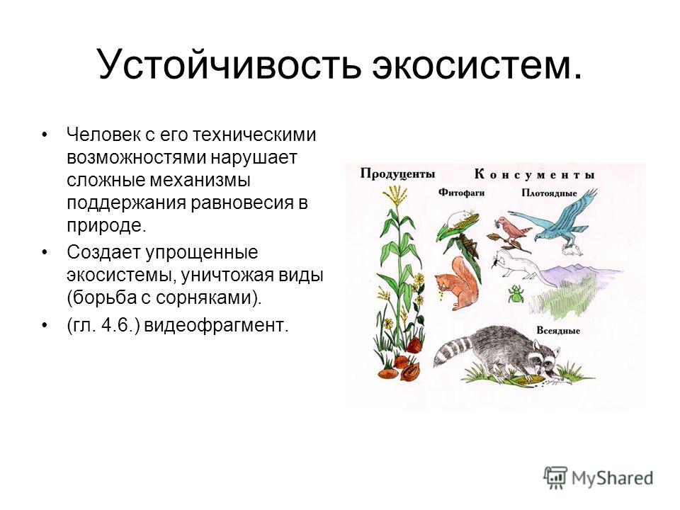 Стих для маргариты с днем рождения Стих для маргариты с днем рождения