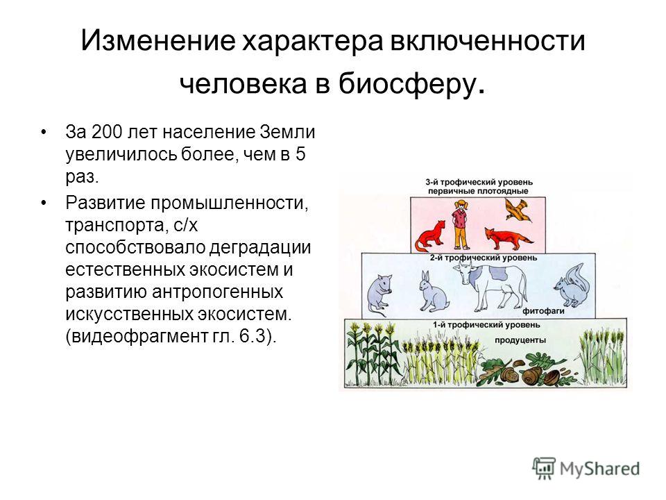 Память о земле обетованной, или что привезти из Израиля в подарок? Открытки с Днем Нептуна - Поздравления открытки