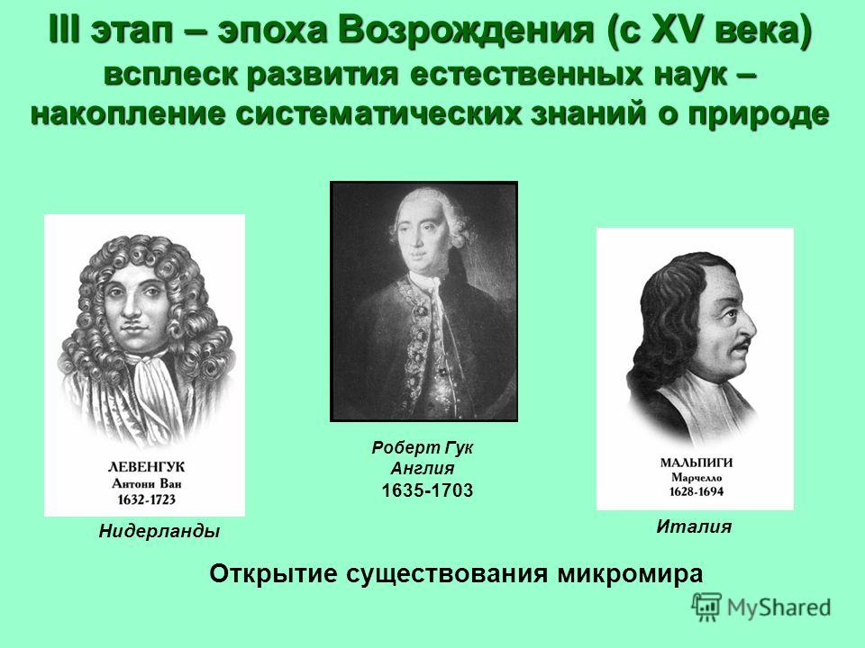 Почему в истории мировой мысли идея естественного права сумела Почему в истории мировой мысли идея естественного права сумела
