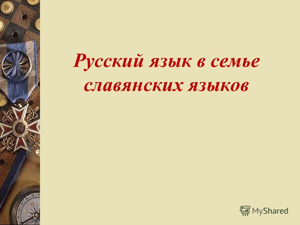 Русский язык в семье славянских языков реферат 8614