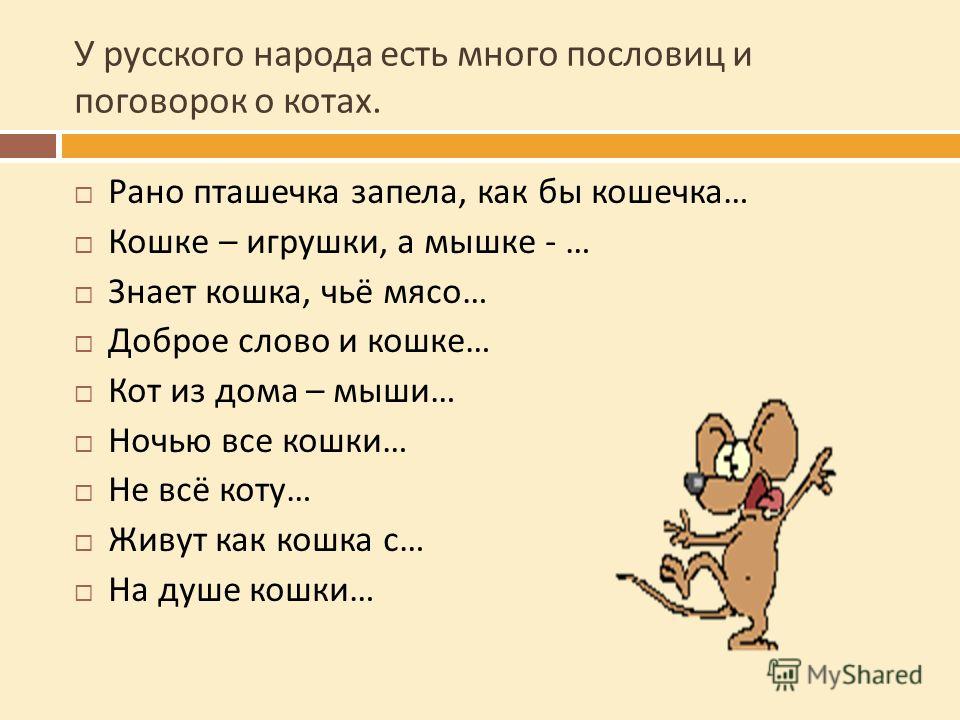У русского народа много пословиц У русского народа много пословиц